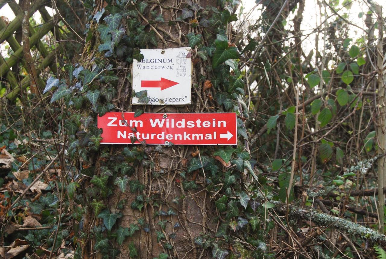 Gaestehaus An Der Moseltherme Traben-Trarbach Bagian luar foto