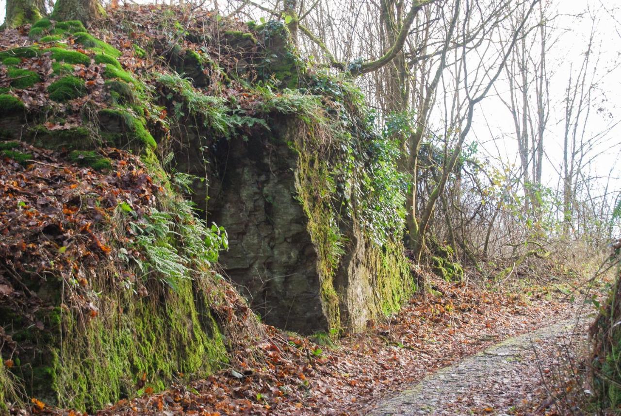 Gaestehaus An Der Moseltherme Traben-Trarbach Bagian luar foto